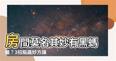 房間莫名其妙有黑螞蟻|窗邊、廚房...家裡突然冒出一大堆螞蟻怎麼辦？消滅螞。